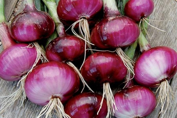 Ссылка на blacksprut onion